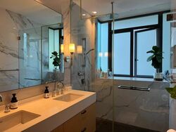 Duet (D10), Condominium #537456881